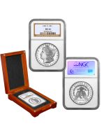 1881 S Morgan Silver Dollar NGC MS64