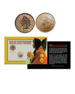 19th & 20th Century Indian Head Pennies