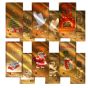 Golden Christmas Collection with $2 Bill and 24K Gold Aurums
