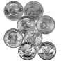 Susan B. Anthony Dollar Type Set