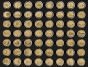 COMPLETE STATE AND PARKS QUARTERS - 24K Gold Plated
