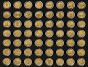 2010-2021 PARKS AND TERRITORIAL QUARTERS, GOLD PLATED, BOXED