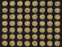 COMPLETE STATE AND PARKS QUARTERS - 24K Gold Plated