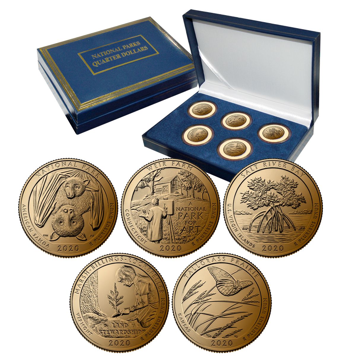 2020_gp_quarters_in_blue_box_1