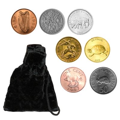 Pouch Of 7 Lucky Coins 1